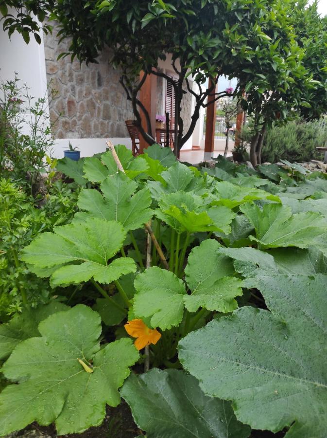 Holiday Home Mennulita Lipari  Buitenkant foto